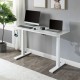 Height Adjustable Electric Sit to Standing Desk